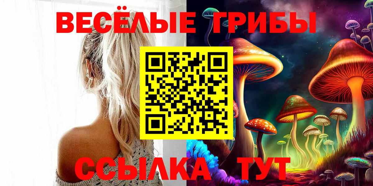 Алексин  Галлюциногенные грибы MAGIC MUSHROOMS  цена   Вход с VPN 